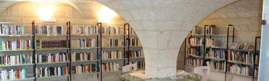 Bibliothèque municipale de Parçay-Meslay (copie) vue de la salle adulte de la bibliothèque municipale de Parçay-Meslay, rayoannges de romans et voute de pierre taillée